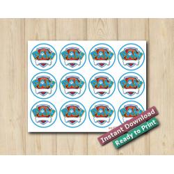 Paw Patrol Stickers 2in