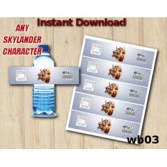 Skylanders  Water Bottle Labels