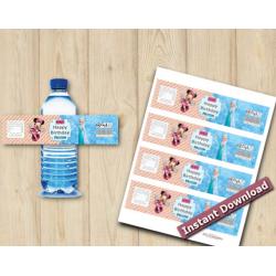 Twin Minnie Mouse And Frozen Water Bottle Labels